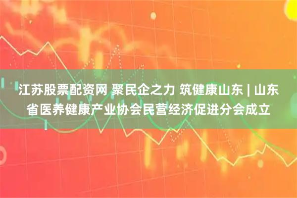 江苏股票配资网 聚民企之力 筑健康山东 | 山东省医养健康产业协会民营经济促进分会成立